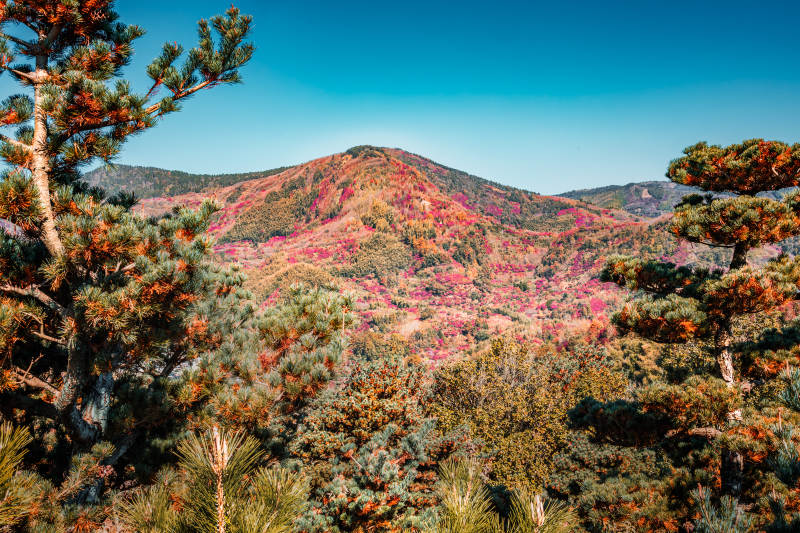秋山彩林  十里飞瀑