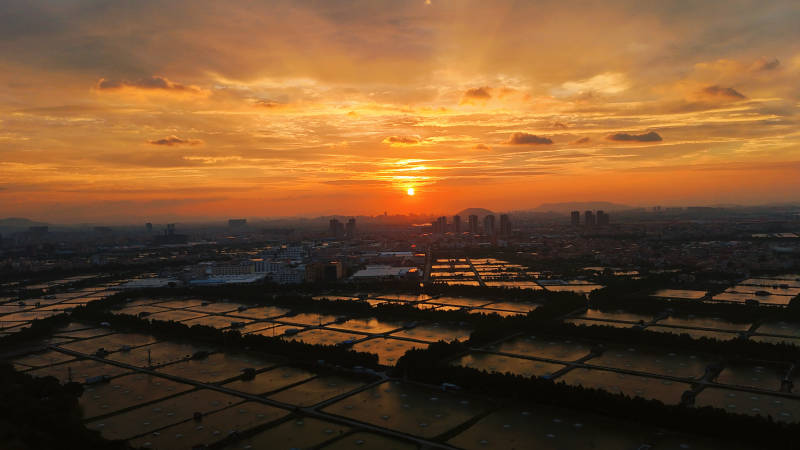 夕阳下的城市田园