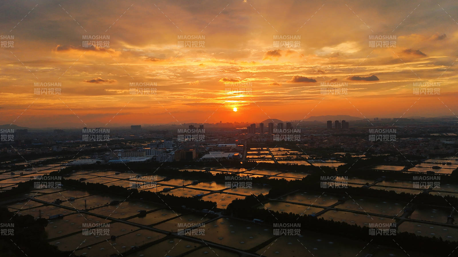 夕阳下的城市田园