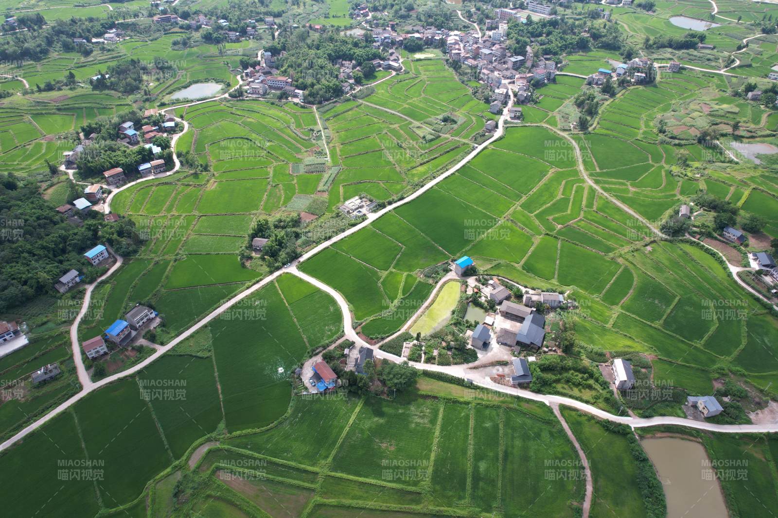 广安区石笋镇白云村田园风光如画