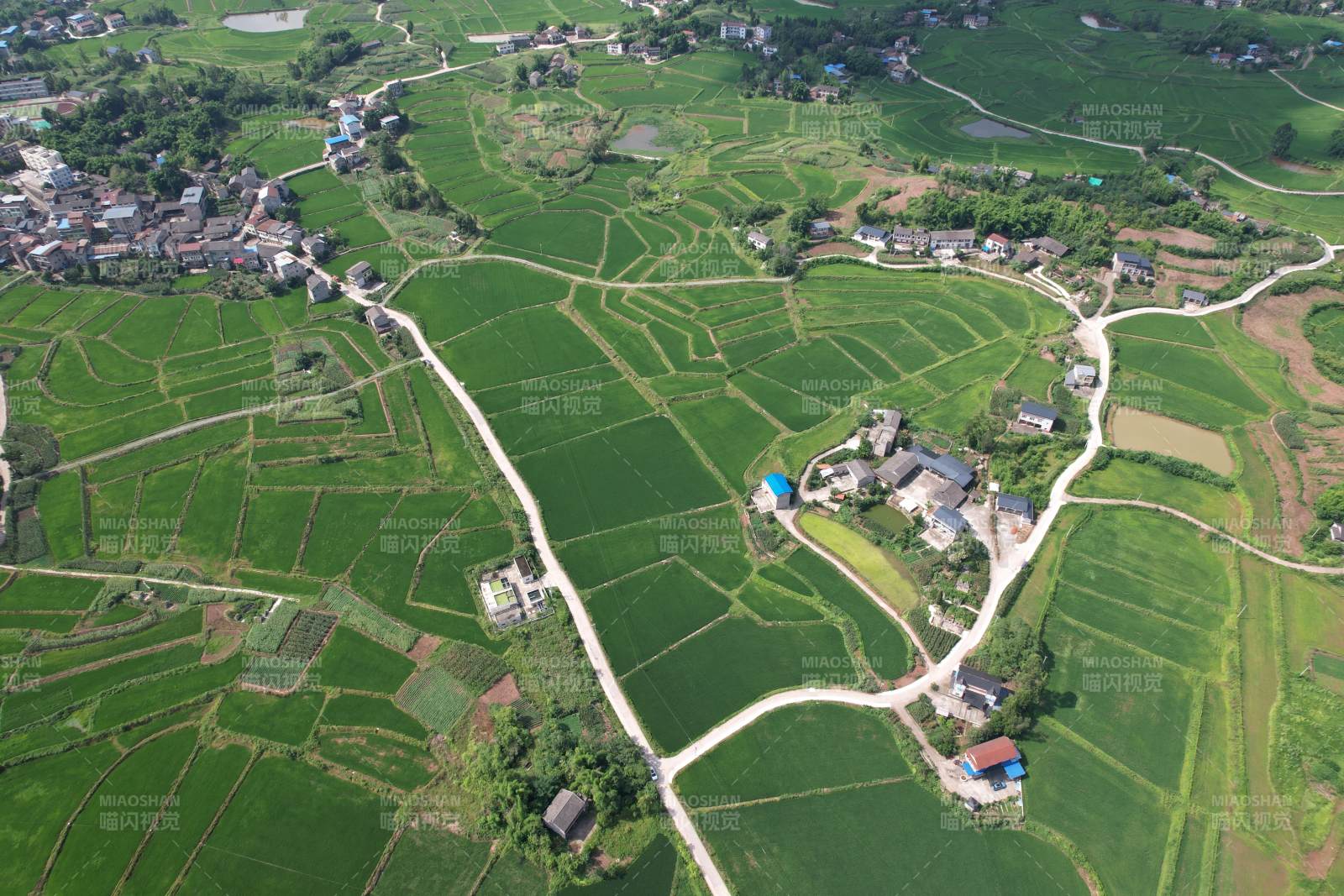 广安区石笋镇白云村田园风光如画