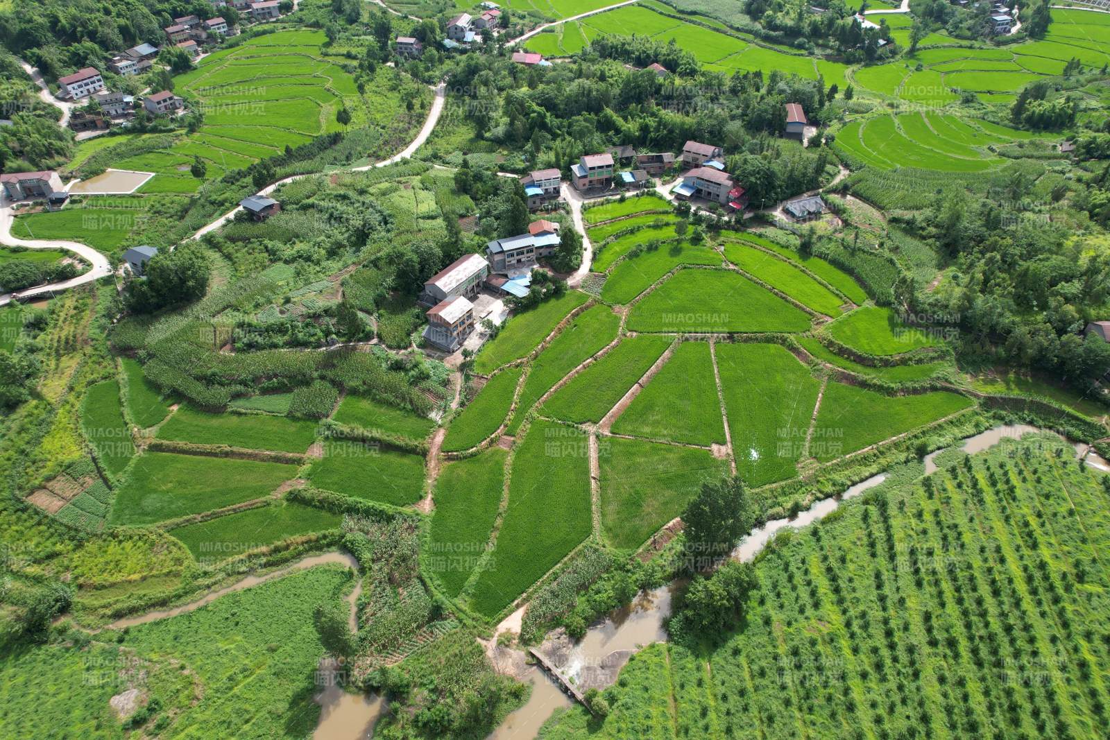 广安区石笋镇白云村田园风光如画