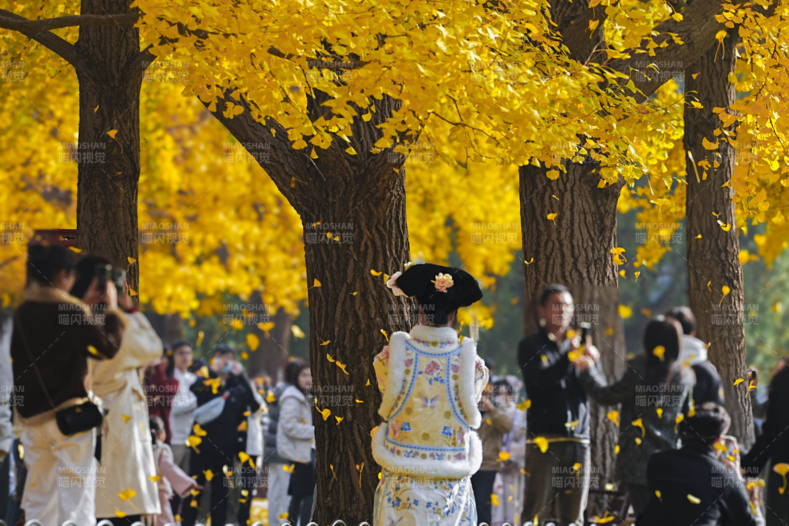 秋叶纷飞 古装游园