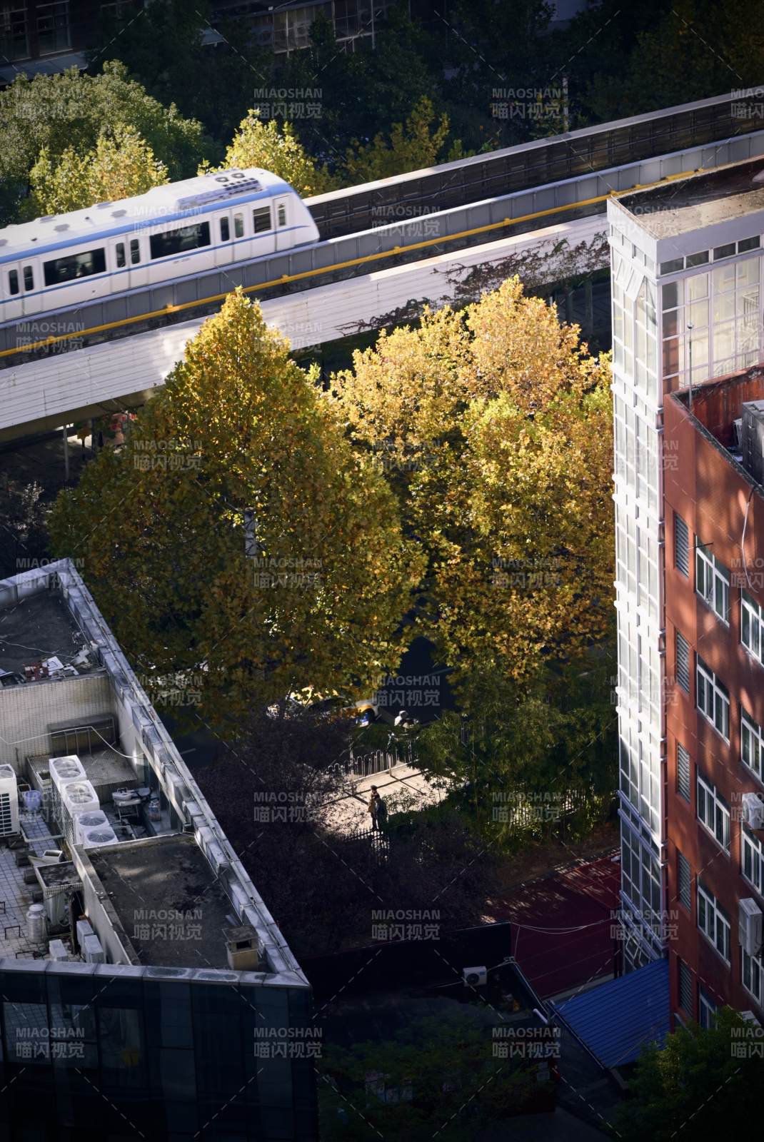 秋日城市輕軌景