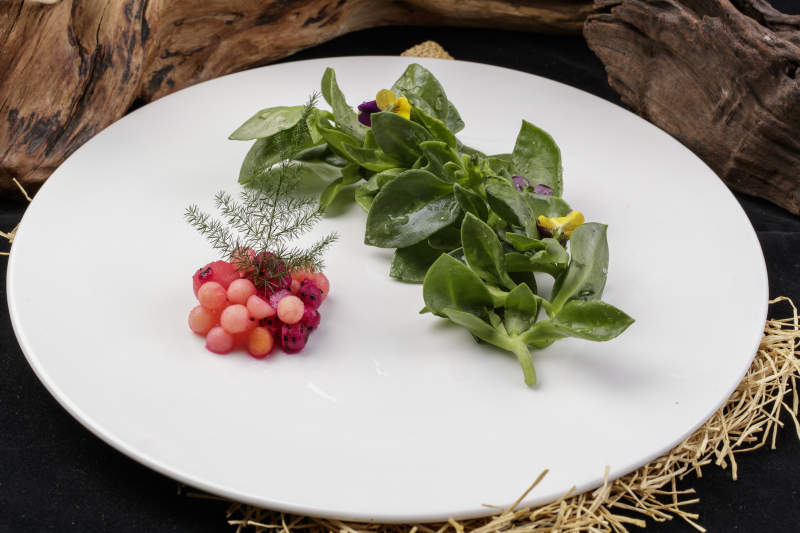 新鲜脆嫩的凉拌穿心莲摆放在黑色背景上