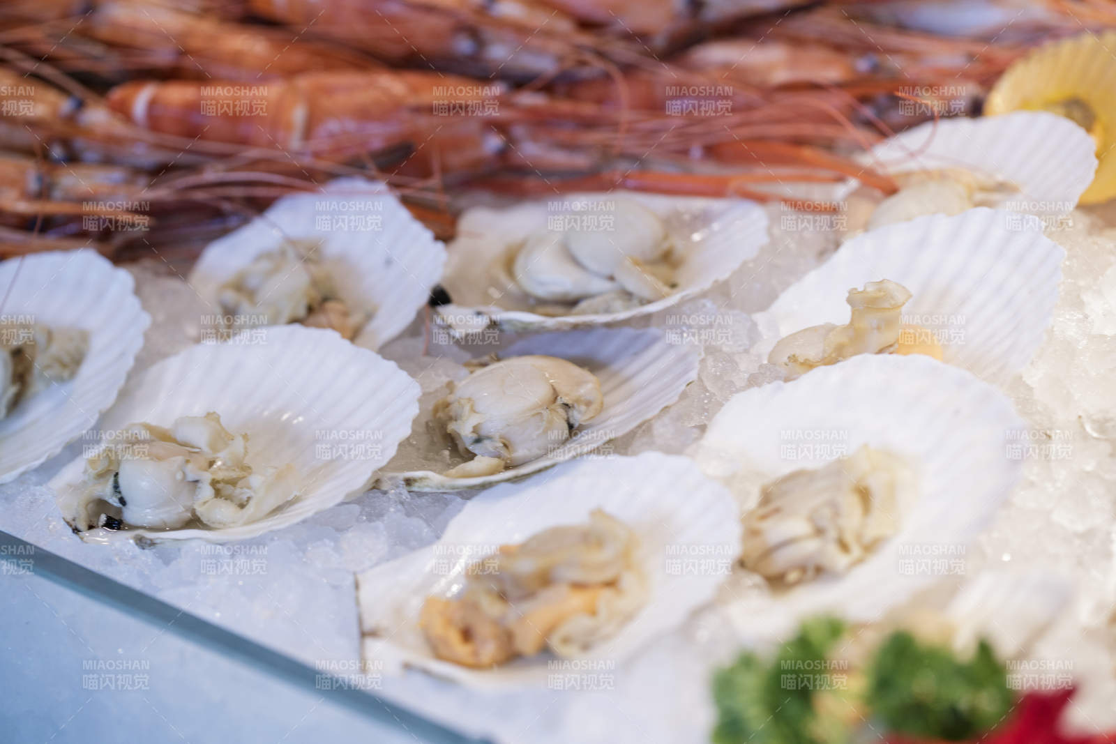 高档自助餐日式料理餐台摆放的寿司-摄影图