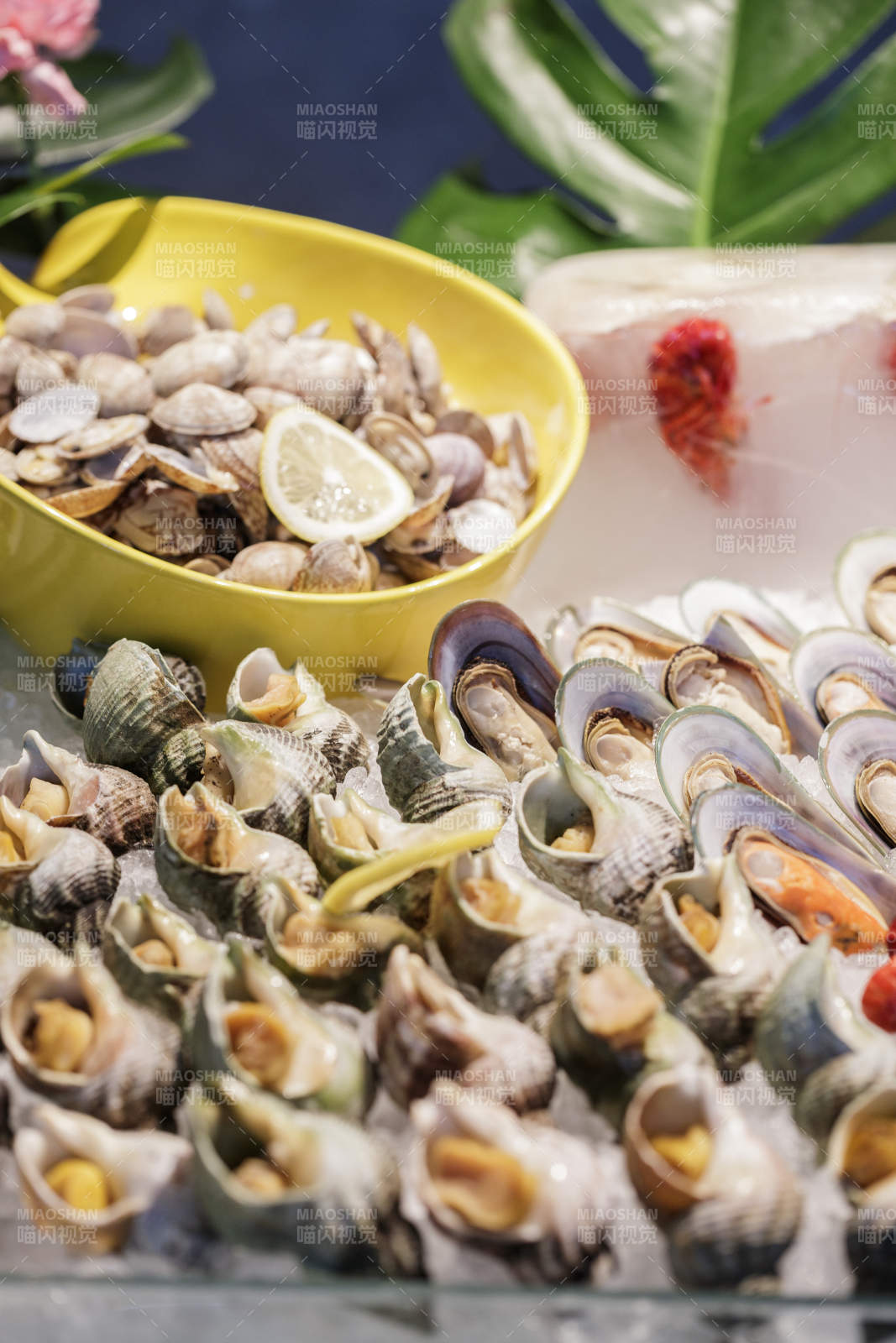 高档自助餐日式料理餐台摆放的寿司-摄影图