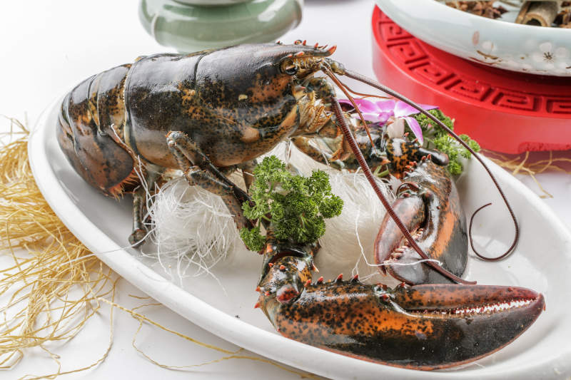 清蒸澳洲大龙虾