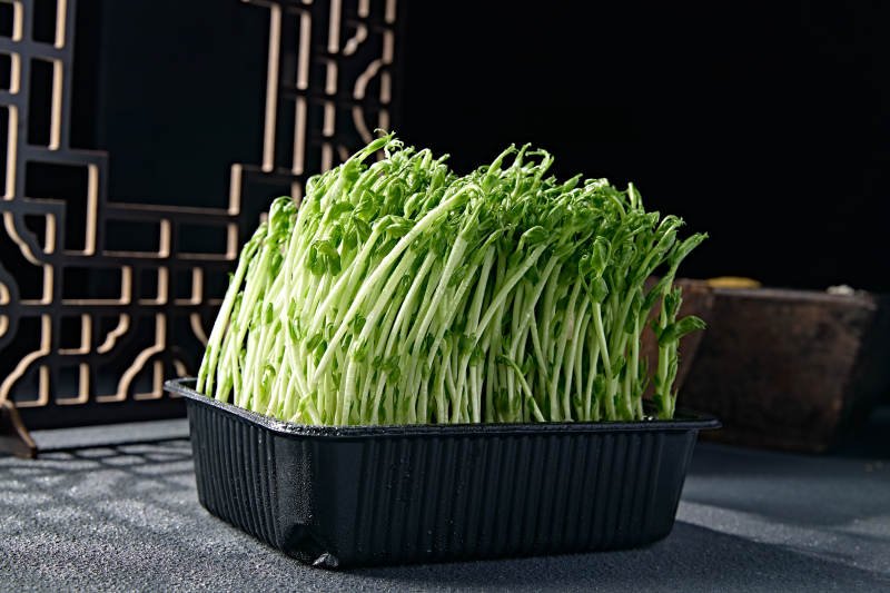 火锅涮品鲜发青豆苗