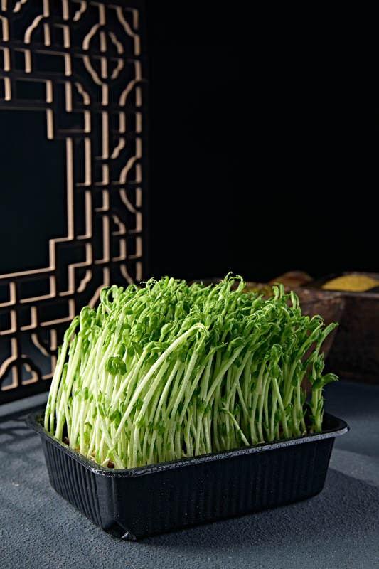 火锅涮品鲜发青豆苗