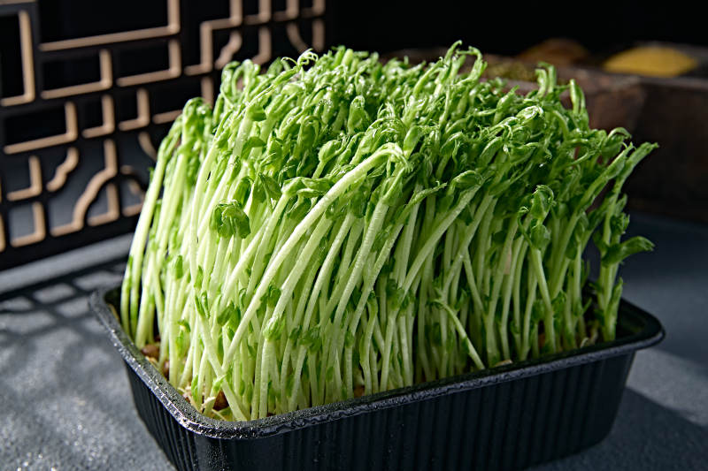 火锅涮品鲜发青豆苗