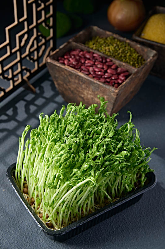 火锅涮品鲜发青豆苗