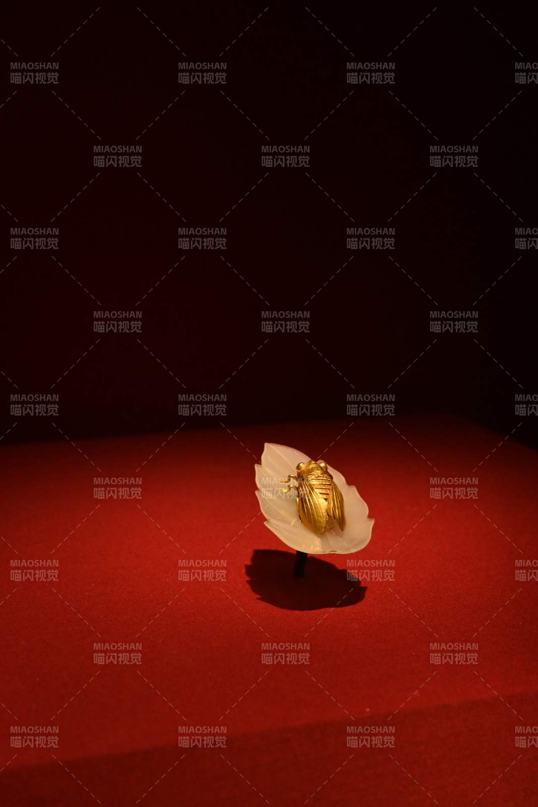 金蝉栖叶 静谧之美