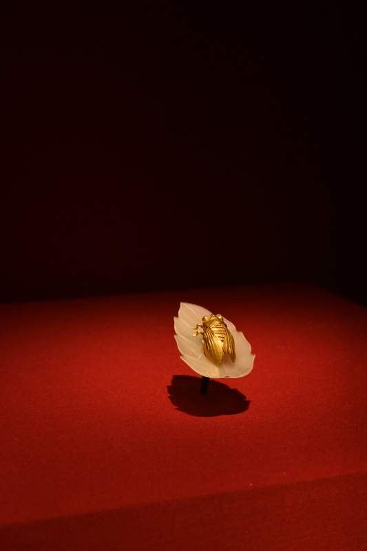 金蝉栖叶 静谧之美