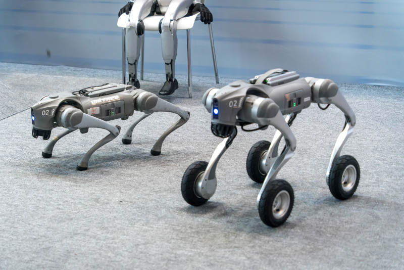 宇树机器人机器狗并行前行