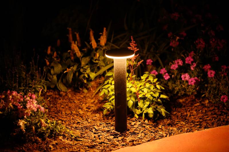 庭院夜燈映花叢