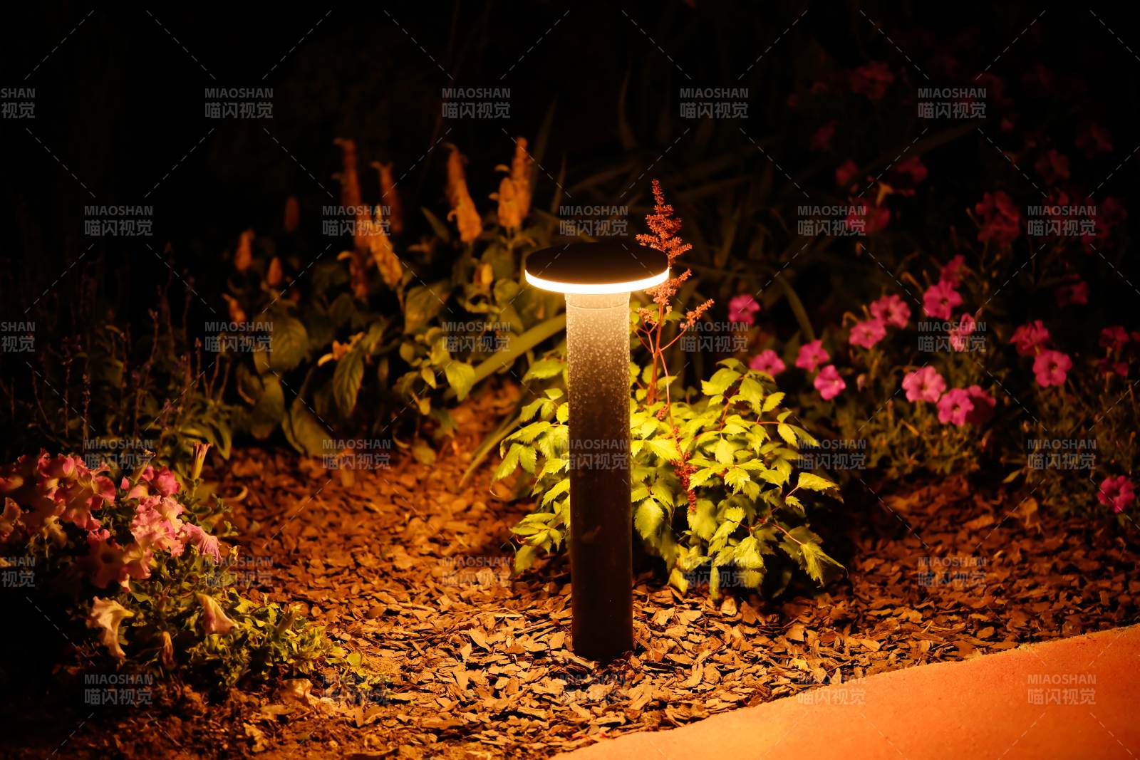 庭院夜燈映花叢