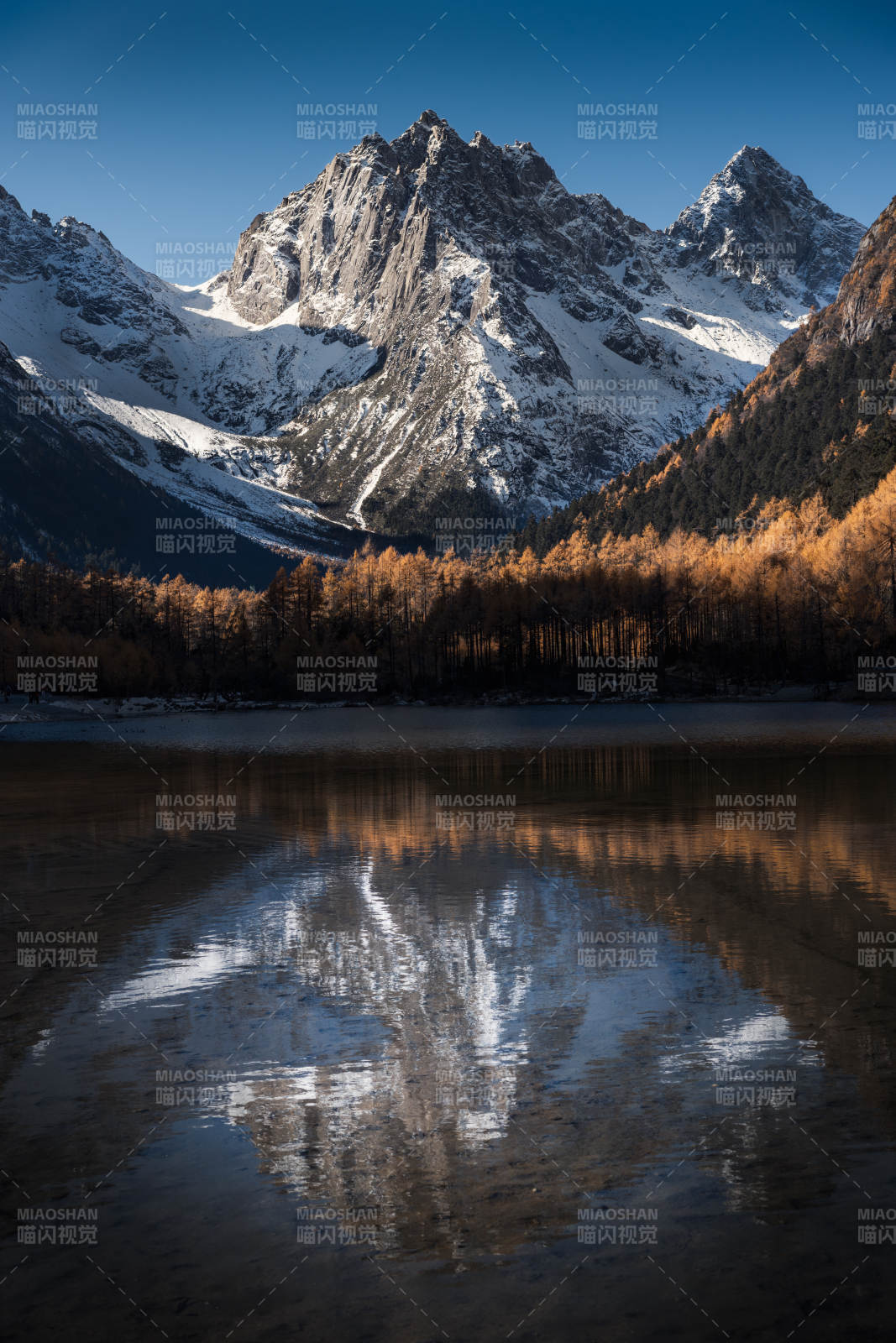 四川阿壩畢棚溝雪山倒影湖中