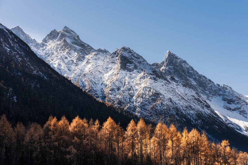 四川阿壩畢棚溝雪山秋林美景