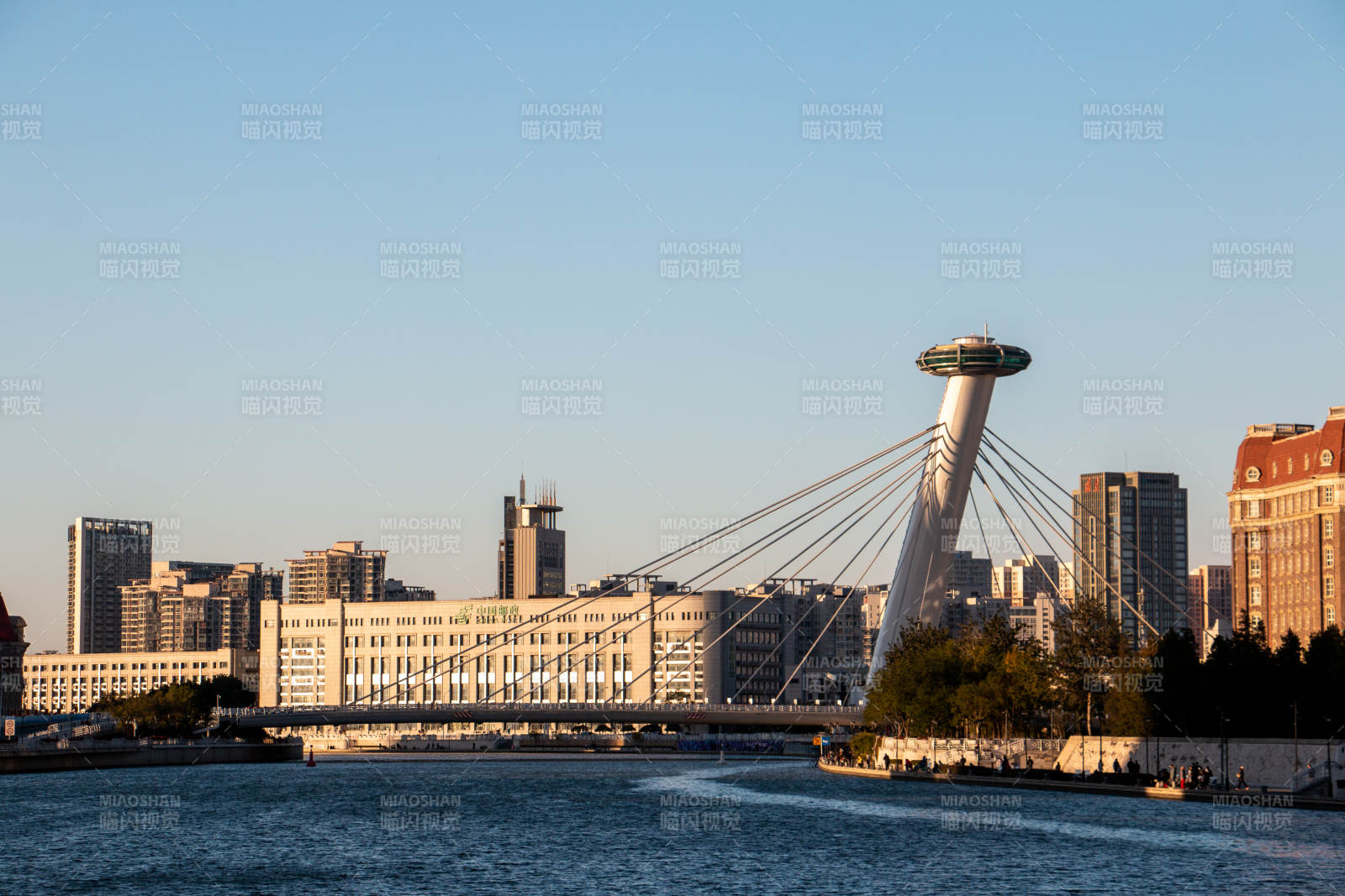 天津海河城市天际线与斜拉桥