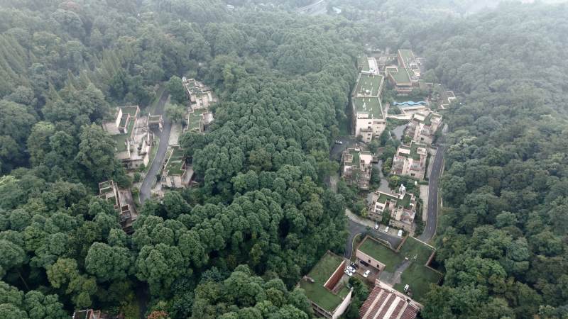 林间村落航拍图