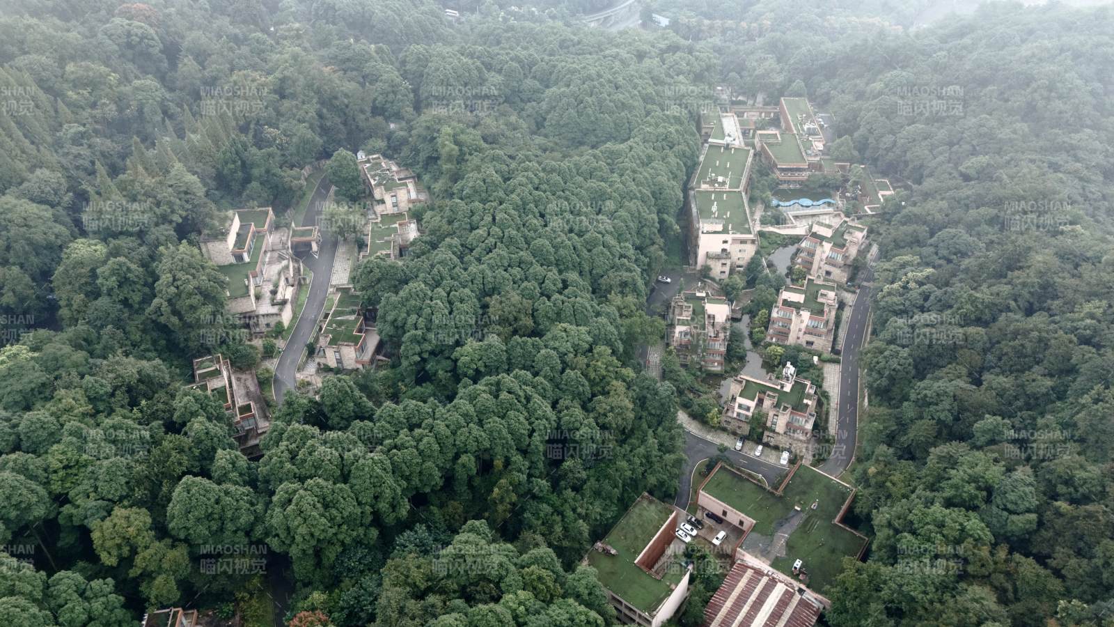 林间村落航拍图