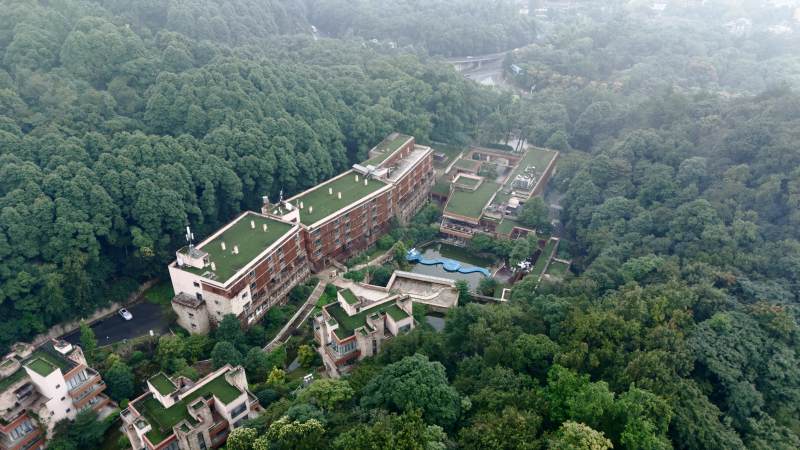 绿顶建筑群隐于林中