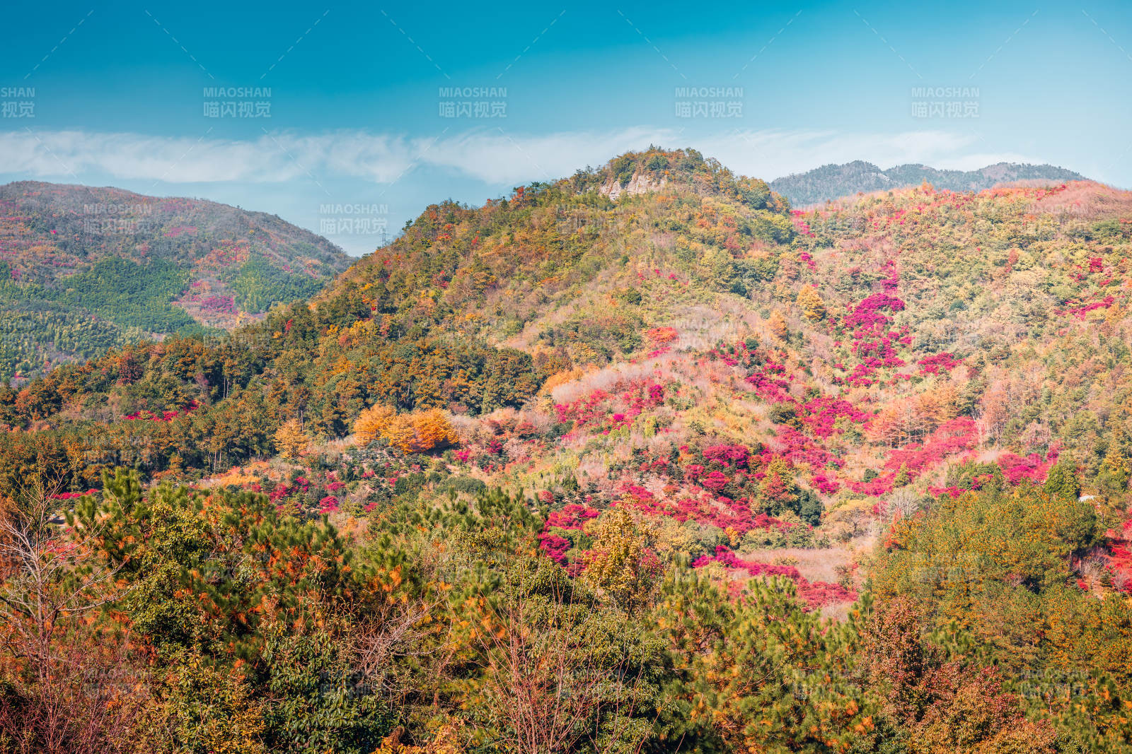 秋山彩林  寧波