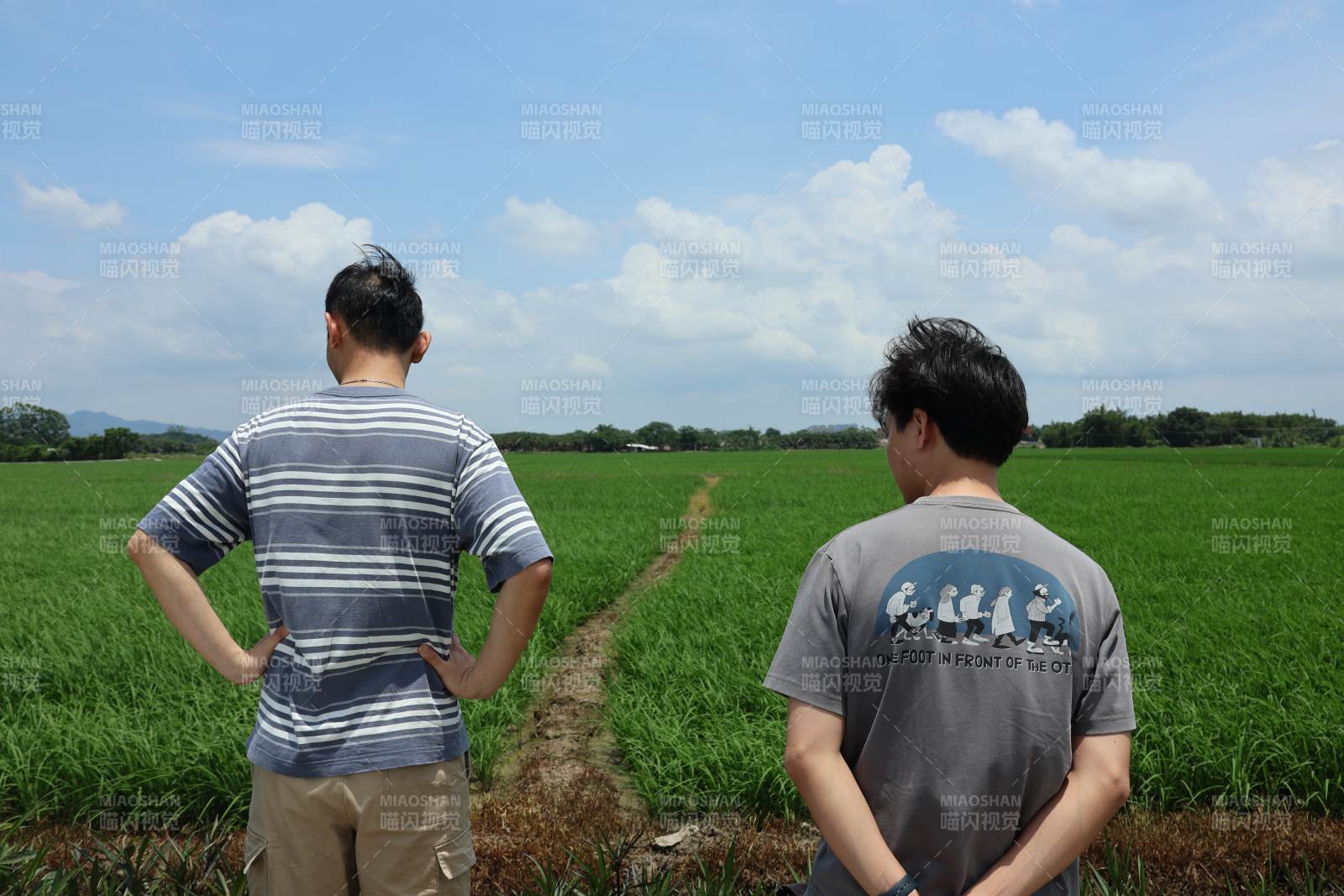 田野中的两人背影