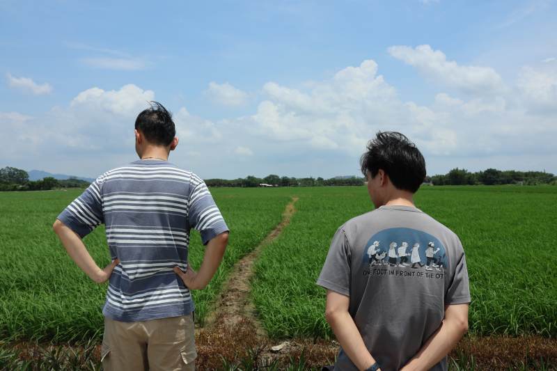 田野中的两人背影