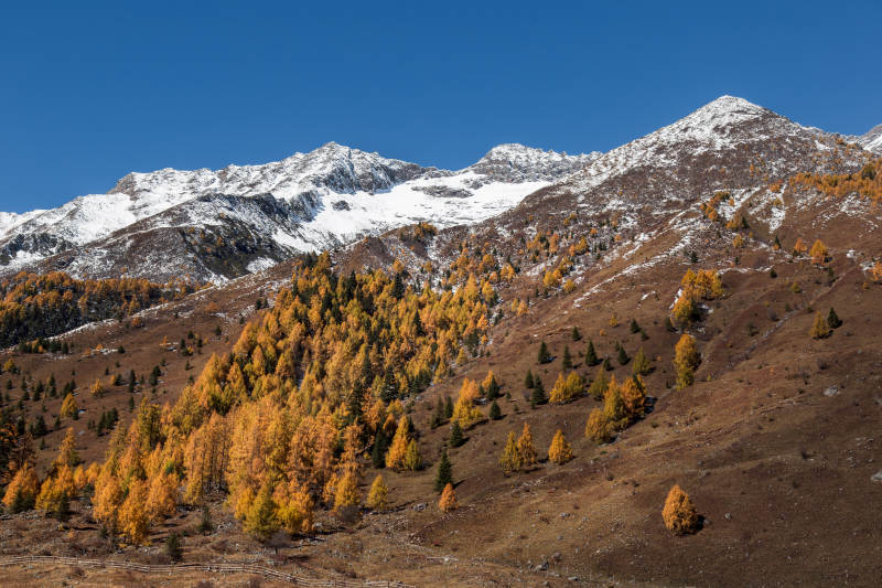 四川双桥沟秋山雪峰美景
