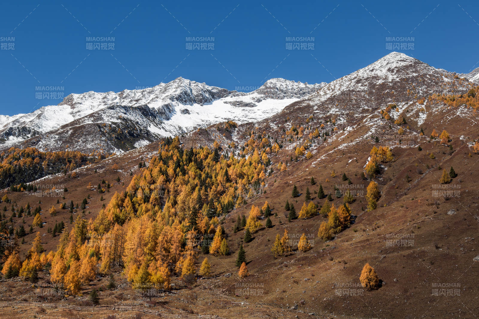 四川双桥沟秋山雪峰美景