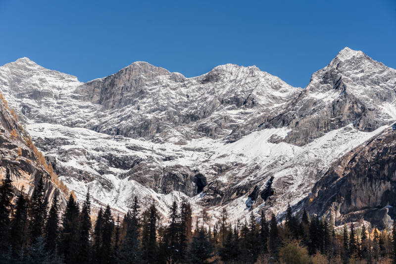 四川双桥沟雪山林海秋色