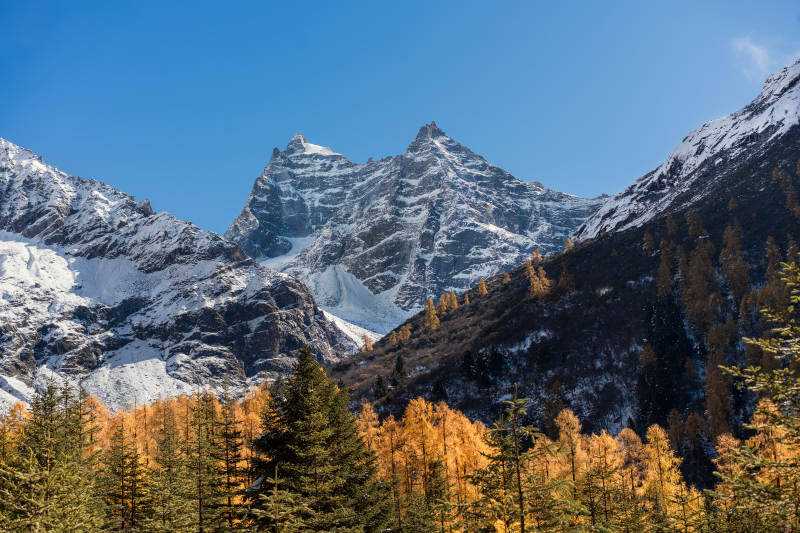 四川双桥沟雪山秋林美景