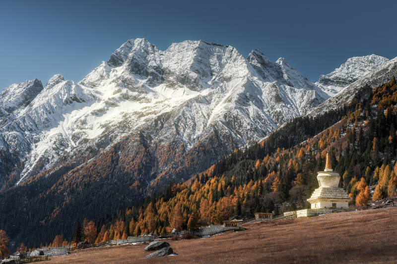 四川双桥沟雪山秋林佛塔