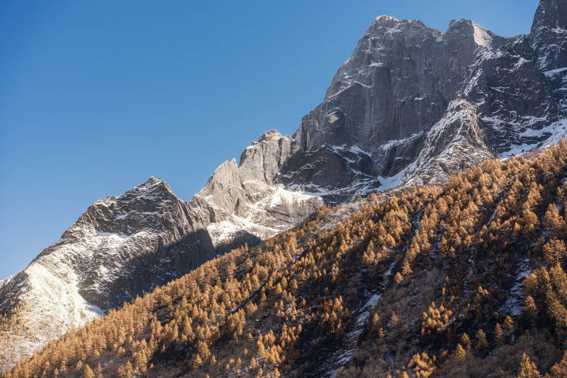 四川阿壩雙橋溝雪山秋林