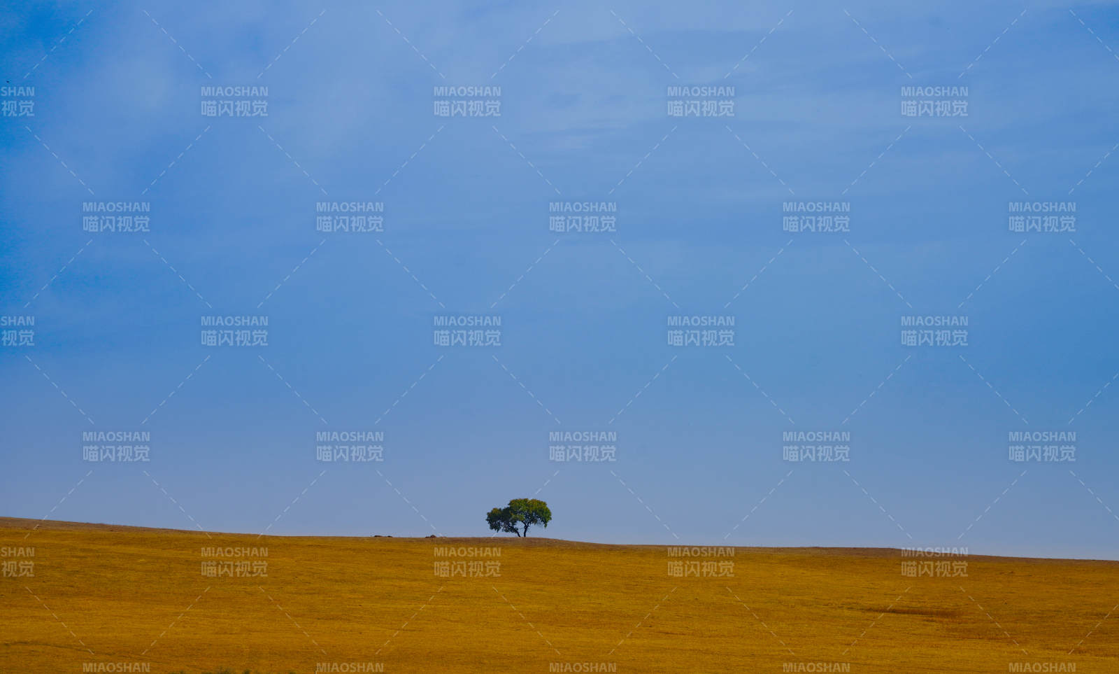 内蒙孤树旷野蓝天