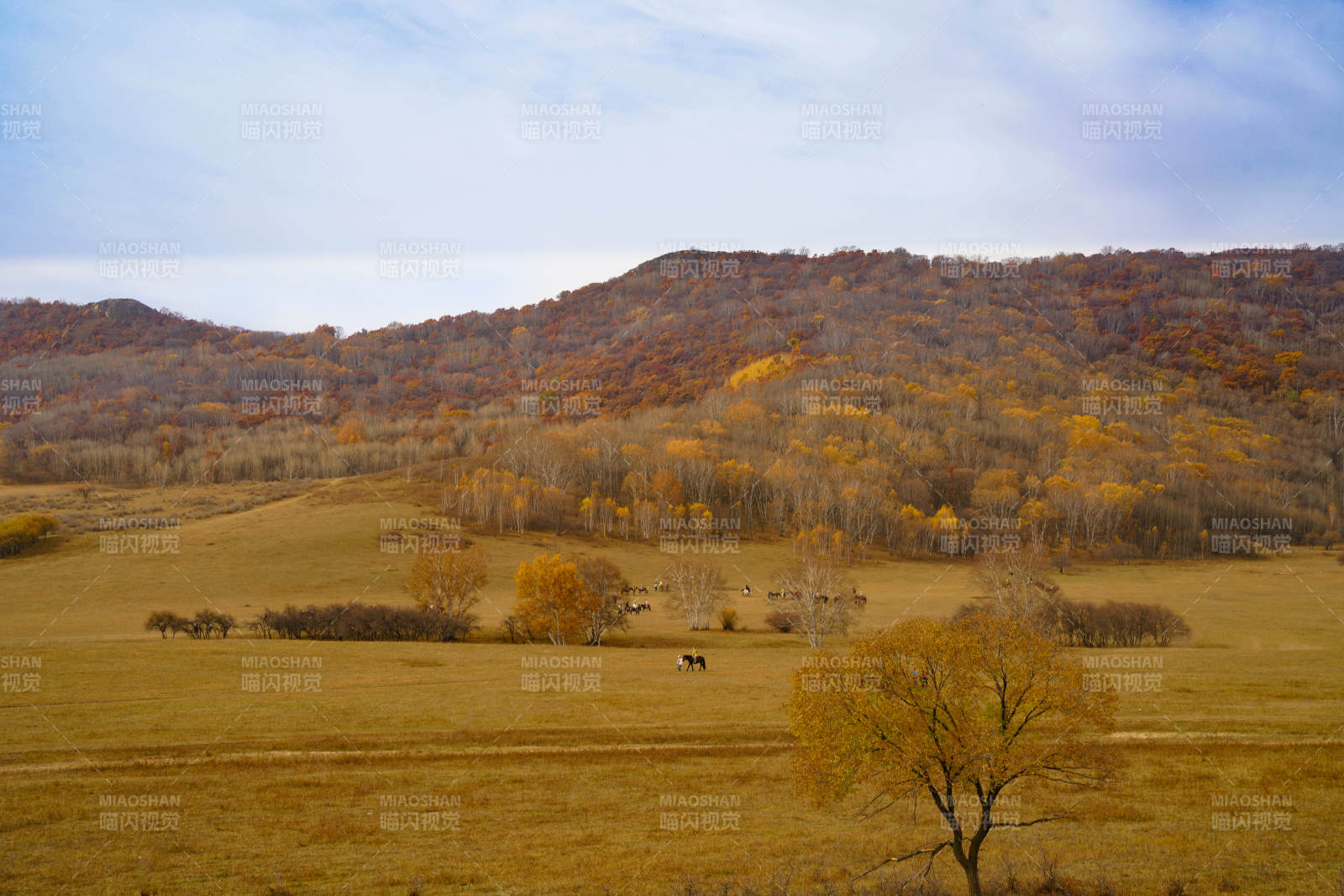 乌兰布统秋野牧马图