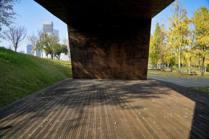 林荫下的现代建筑