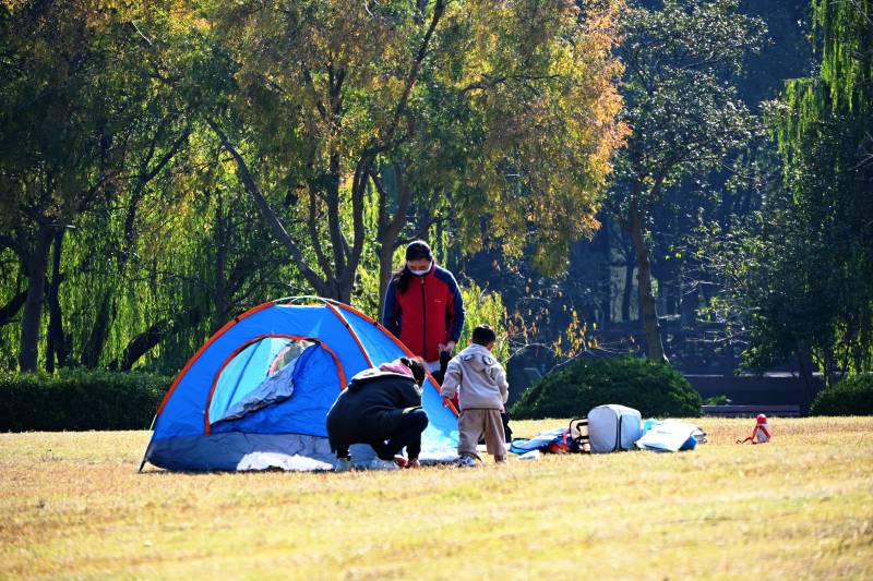 公园露营乐融融