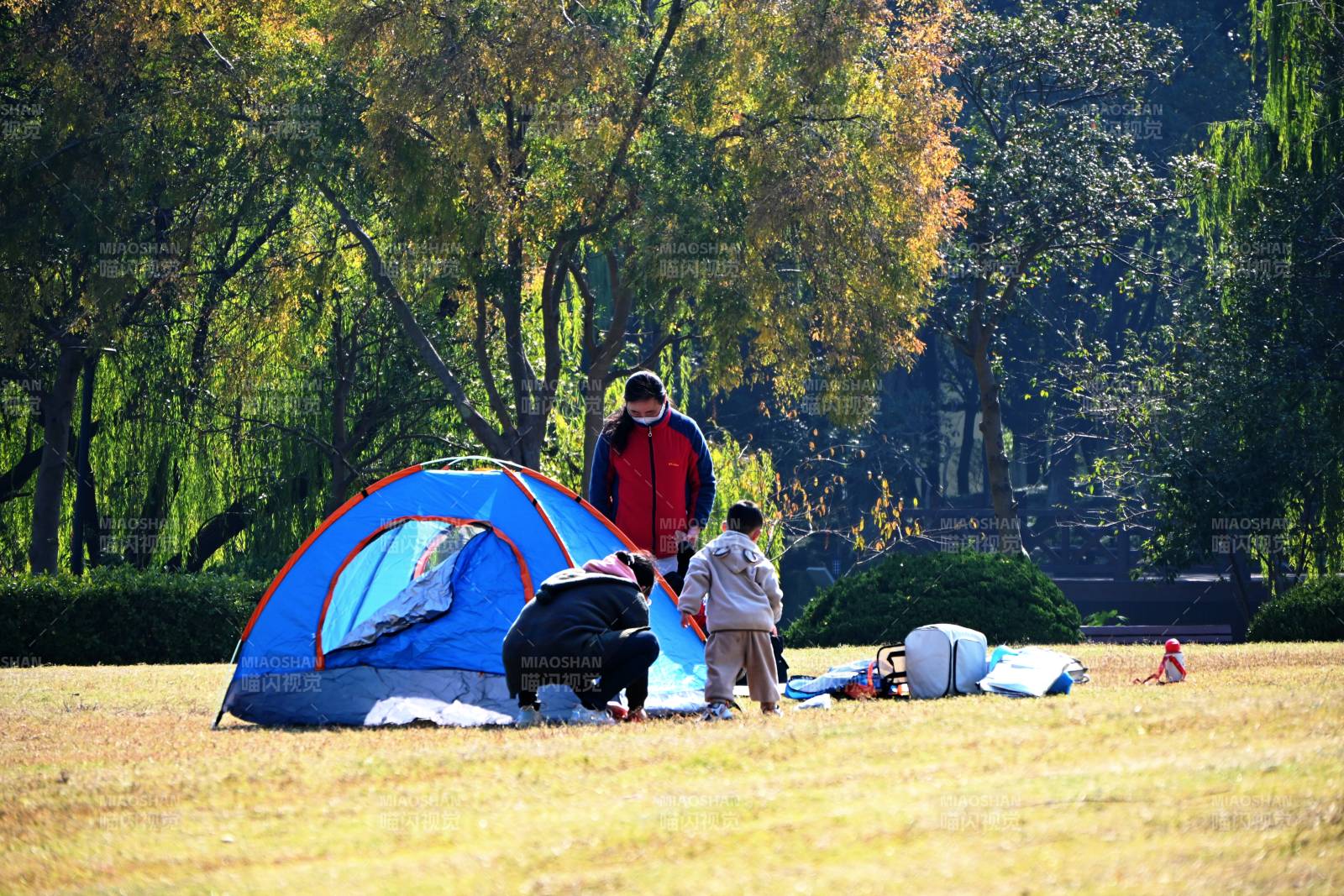 公园露营乐融融