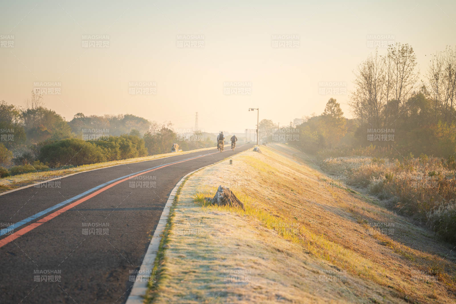 晨光中的骑行道