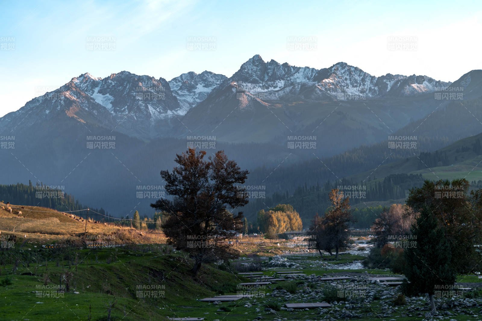 晨曦金光映雪峰静谧河谷秋色与蜿蜒溪流风光