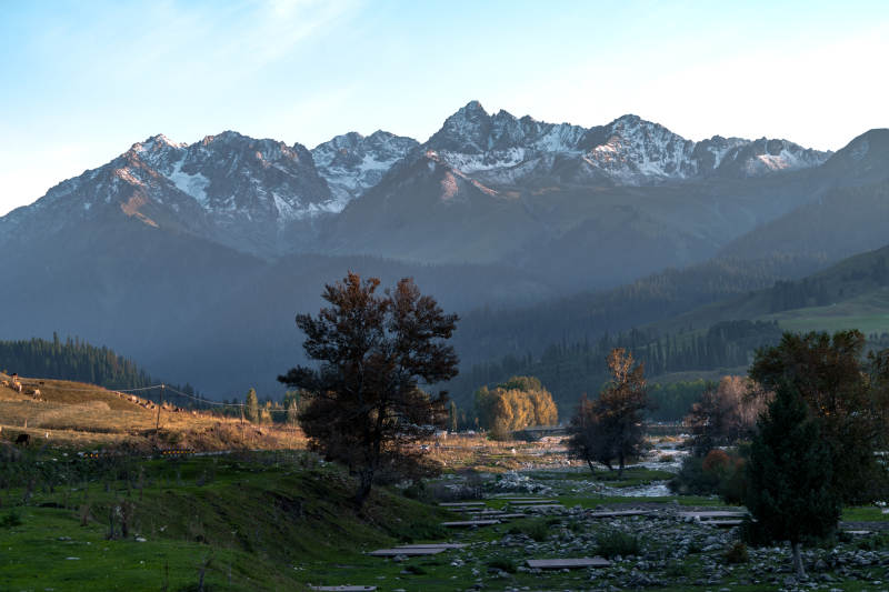晨曦金光映雪峰静谧河谷秋色与蜿蜒溪流风光