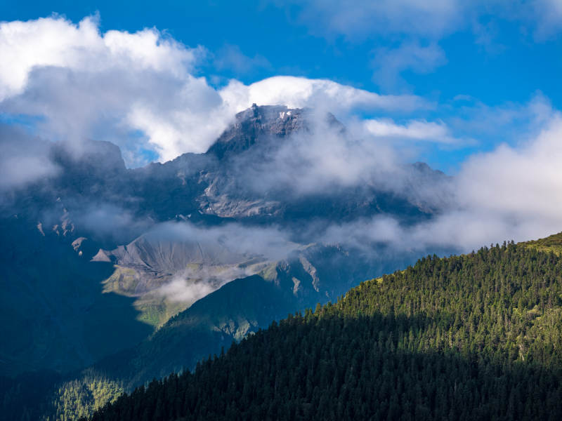 高原云海高耸壮丽山峰云雾缭绕雪山原始森林