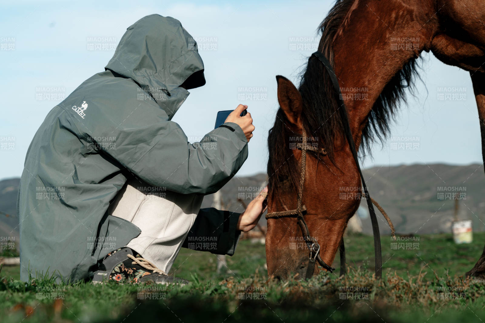 户外身穿冲锋衣在草地蹲下拍照抚摸棕色骏马