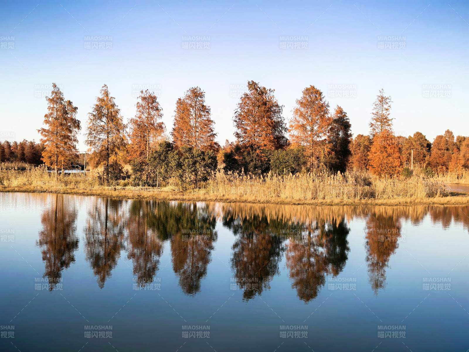 秋湖倒影