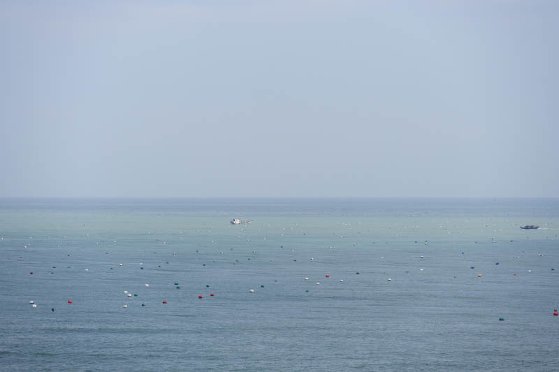 白塘灣海面浮標點點