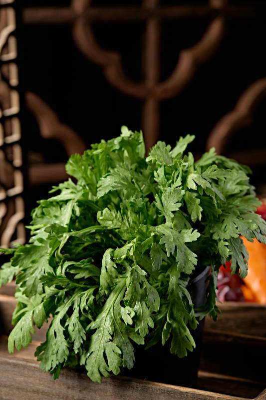 新鲜的火锅食材茼蒿蒿子秆