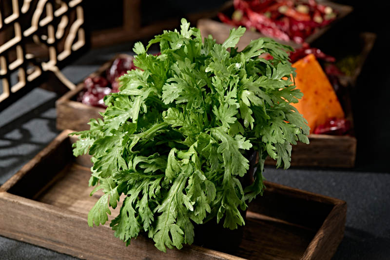 新鲜的火锅食材茼蒿蒿子秆